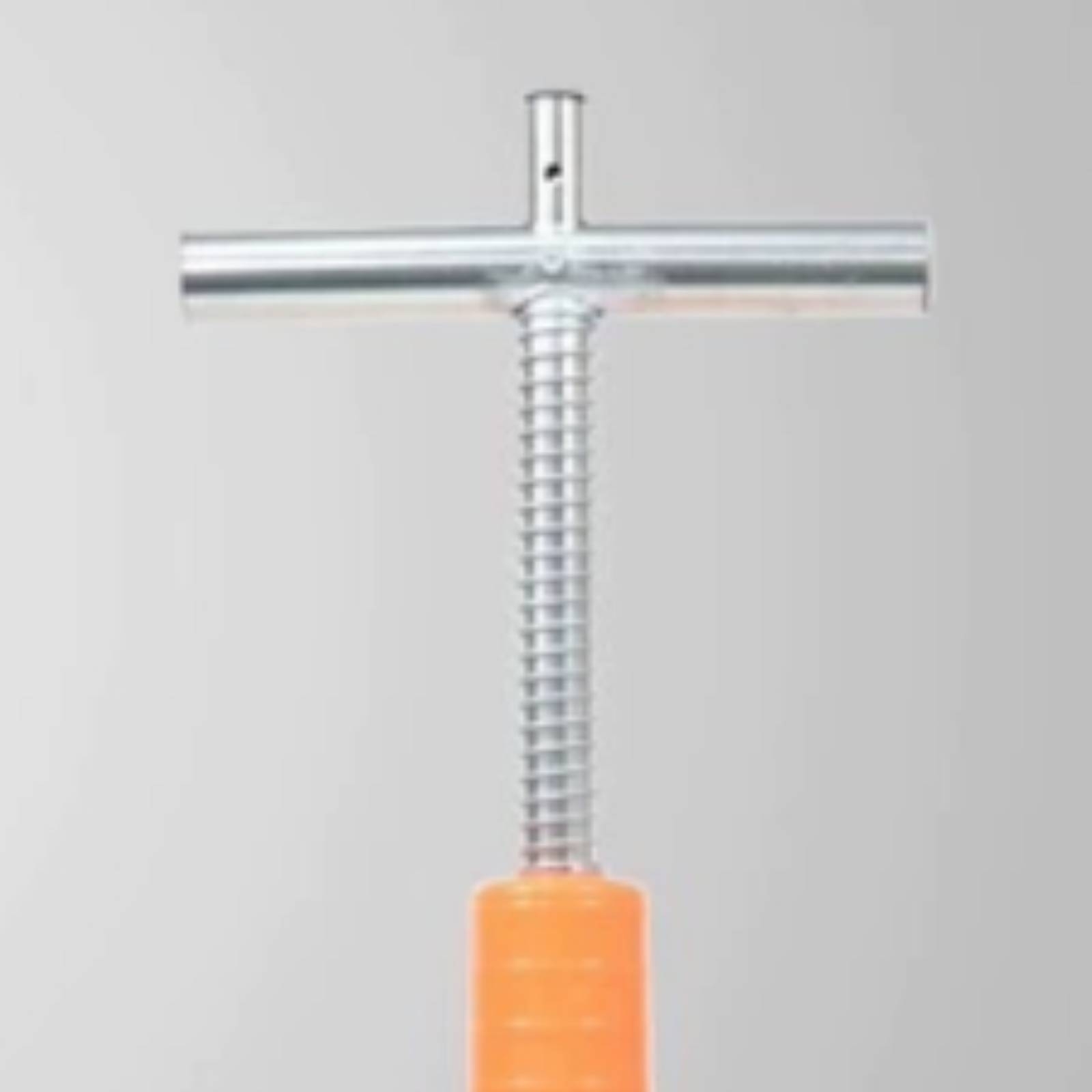 Nutrition & Fitness Class - Fertilizer Applicator with T Handle Pointed