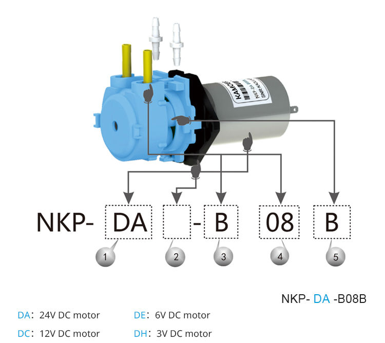 2026 new NKP 6V 12V 24V DC mot - Nutrition & Fitness Class recension och pris